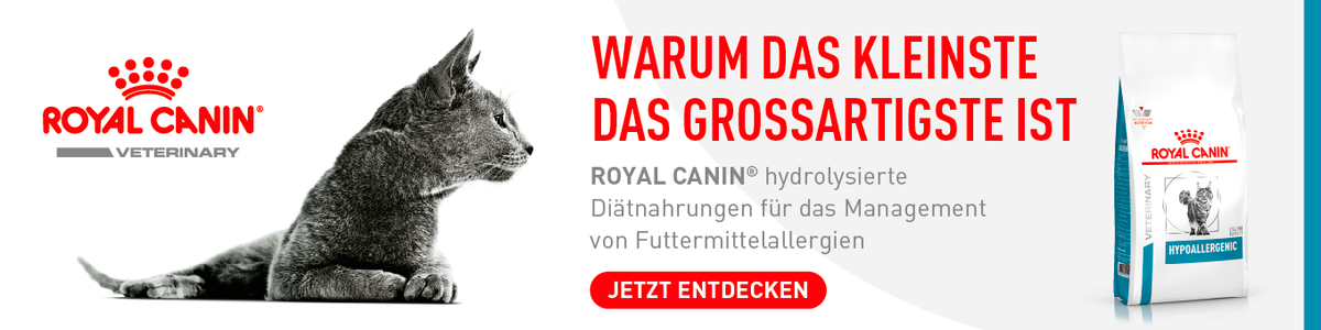 Kategorie: Royal Canin Dermatology für Katzen