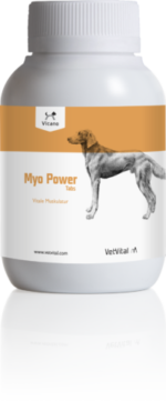 VetVital Vicano Myo Power Tabs für Hunde