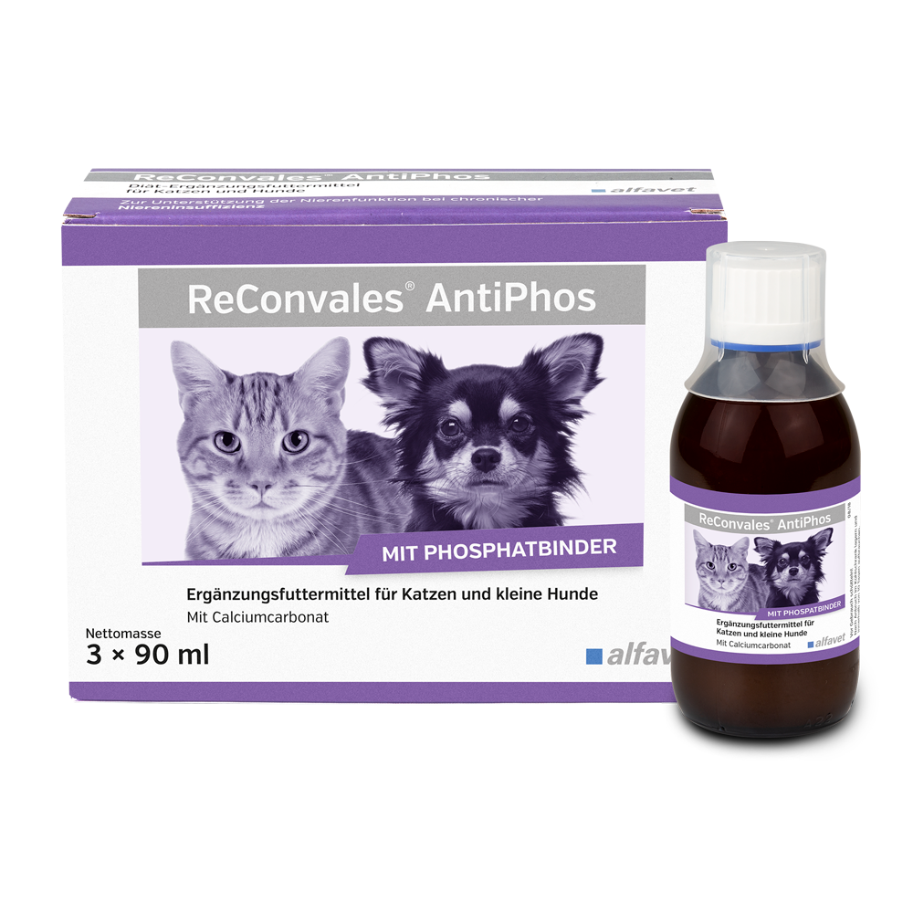 Alfavet ReConvales AntiPhos