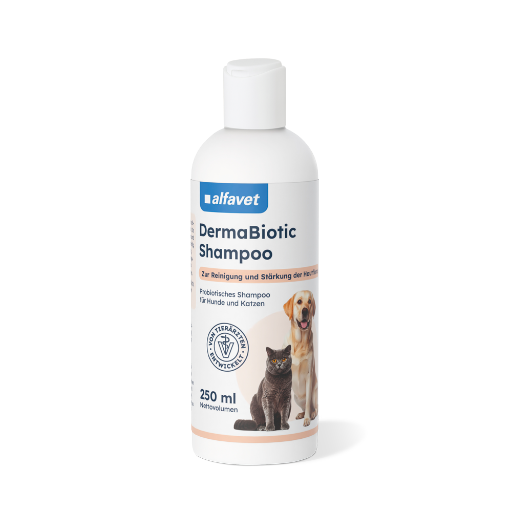 alfavet DermaBiotic Shampoo für Hunde und Katzen