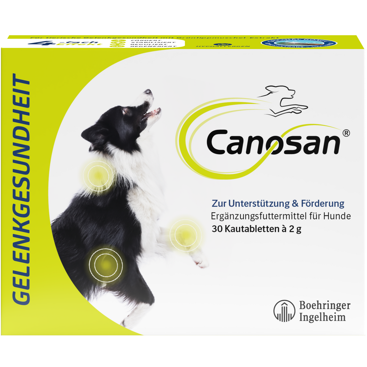 Canosan Hund mit Gonex von Boehringer Ingelheim