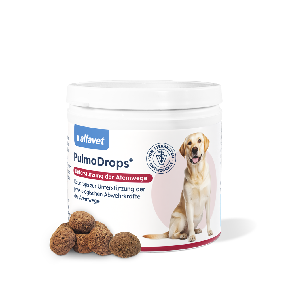 alfavet PulmoDrops Hund