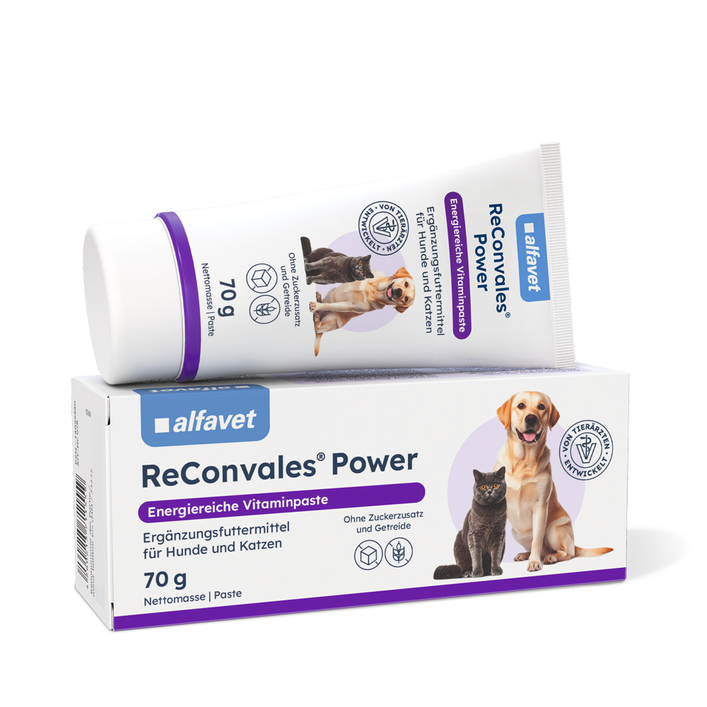 Alfavet ReConvales Power