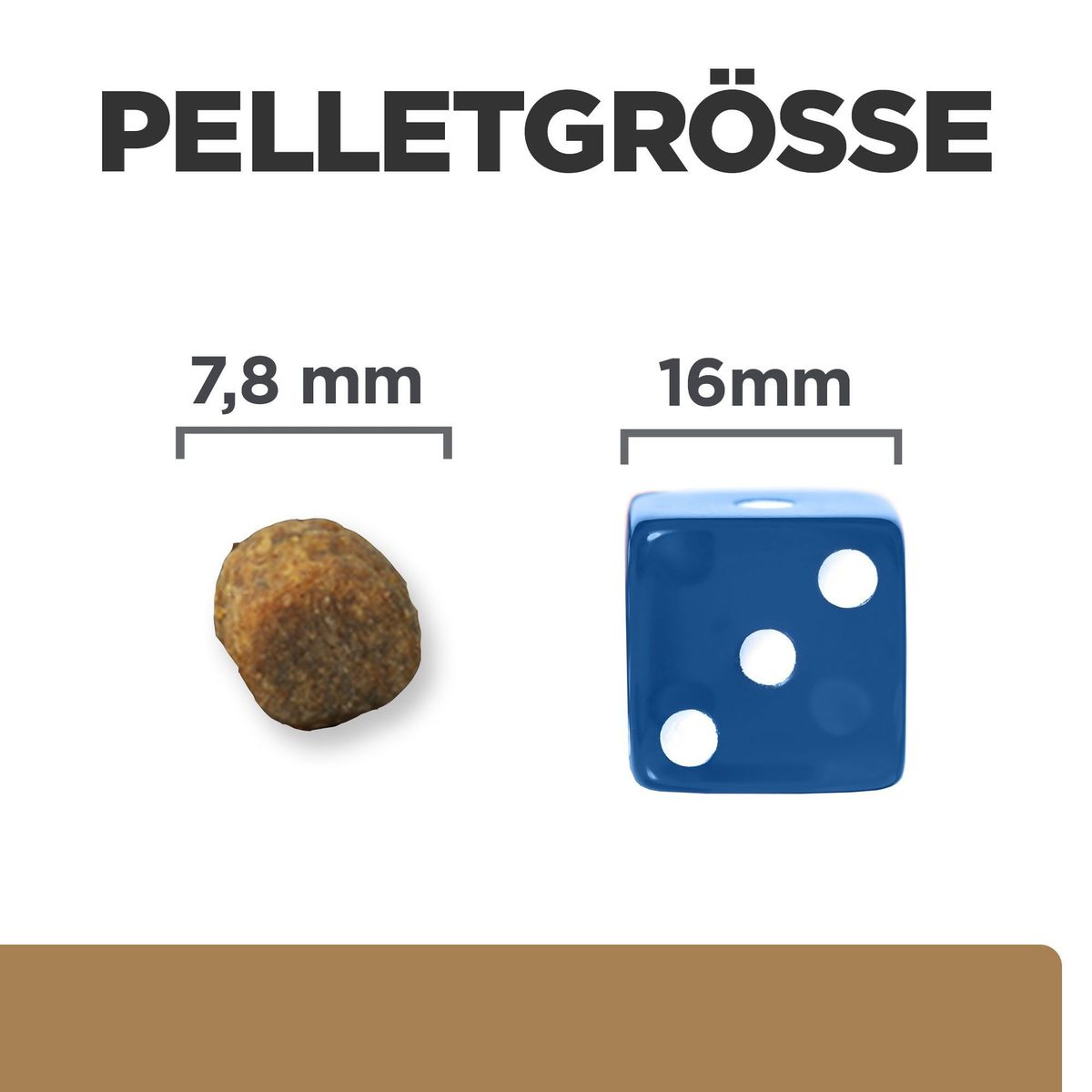 waffenschrank-schlssel aufbewahren bayern Burg-Wchter Waffenschrank Ranger 800 / 8 K (Schlssel)