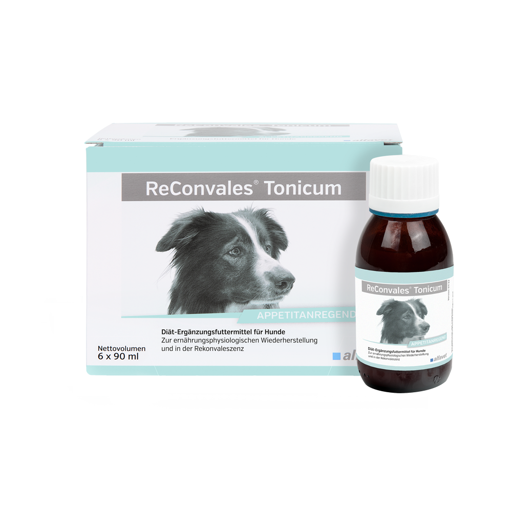 alfavet ReConvales Tonicum Hund alfavet ReConvales Tonicum Hund