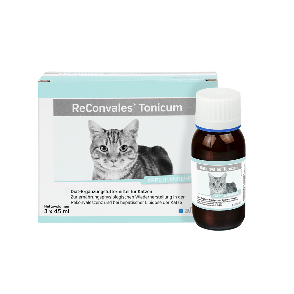 alfavet ReConvales Tonicum Katze alfavet ReConvales Tonicum Katze