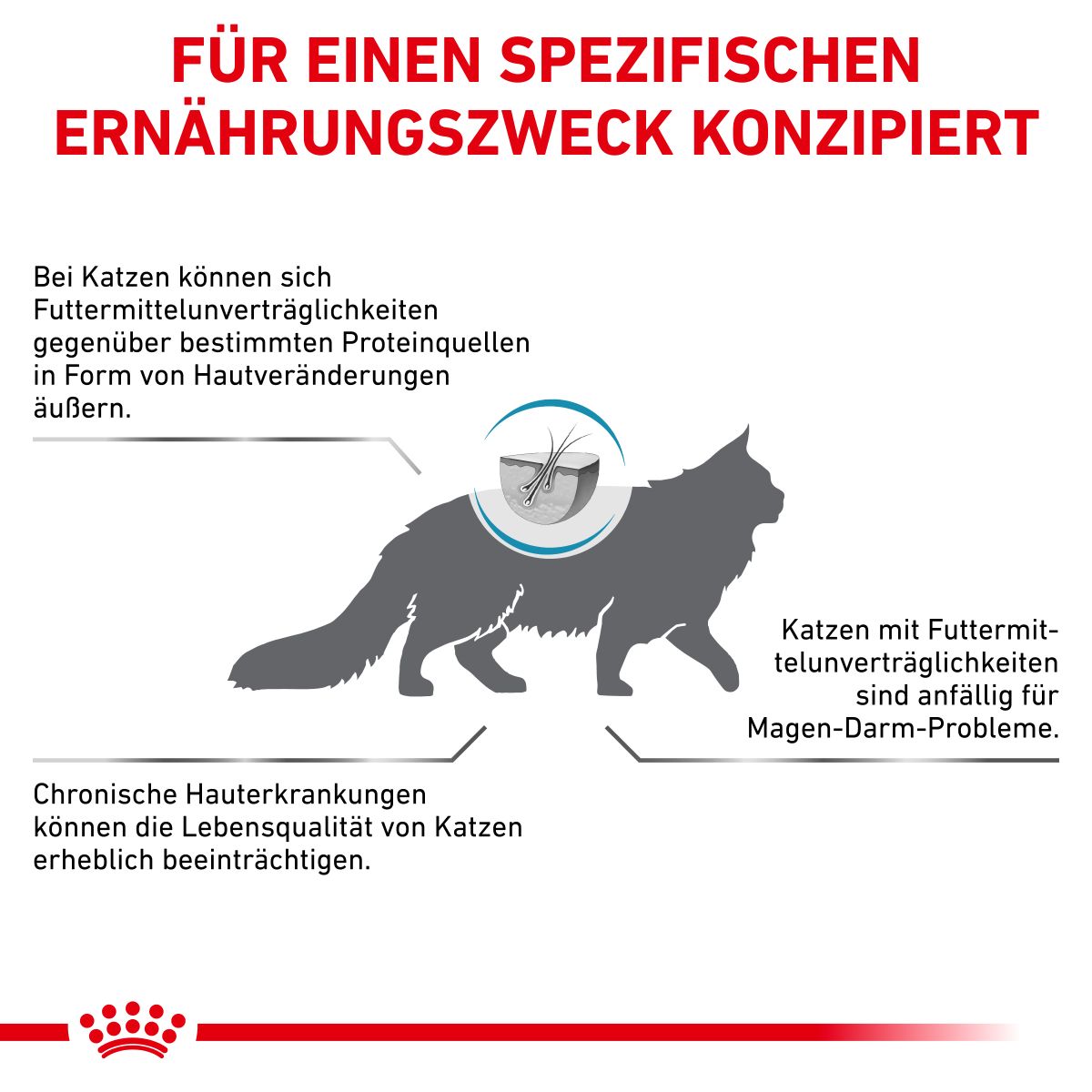 Royal canin anallergenic feline outlet
