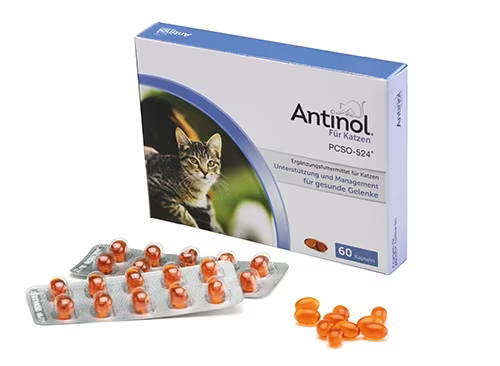 Selectavet Antinol Katze