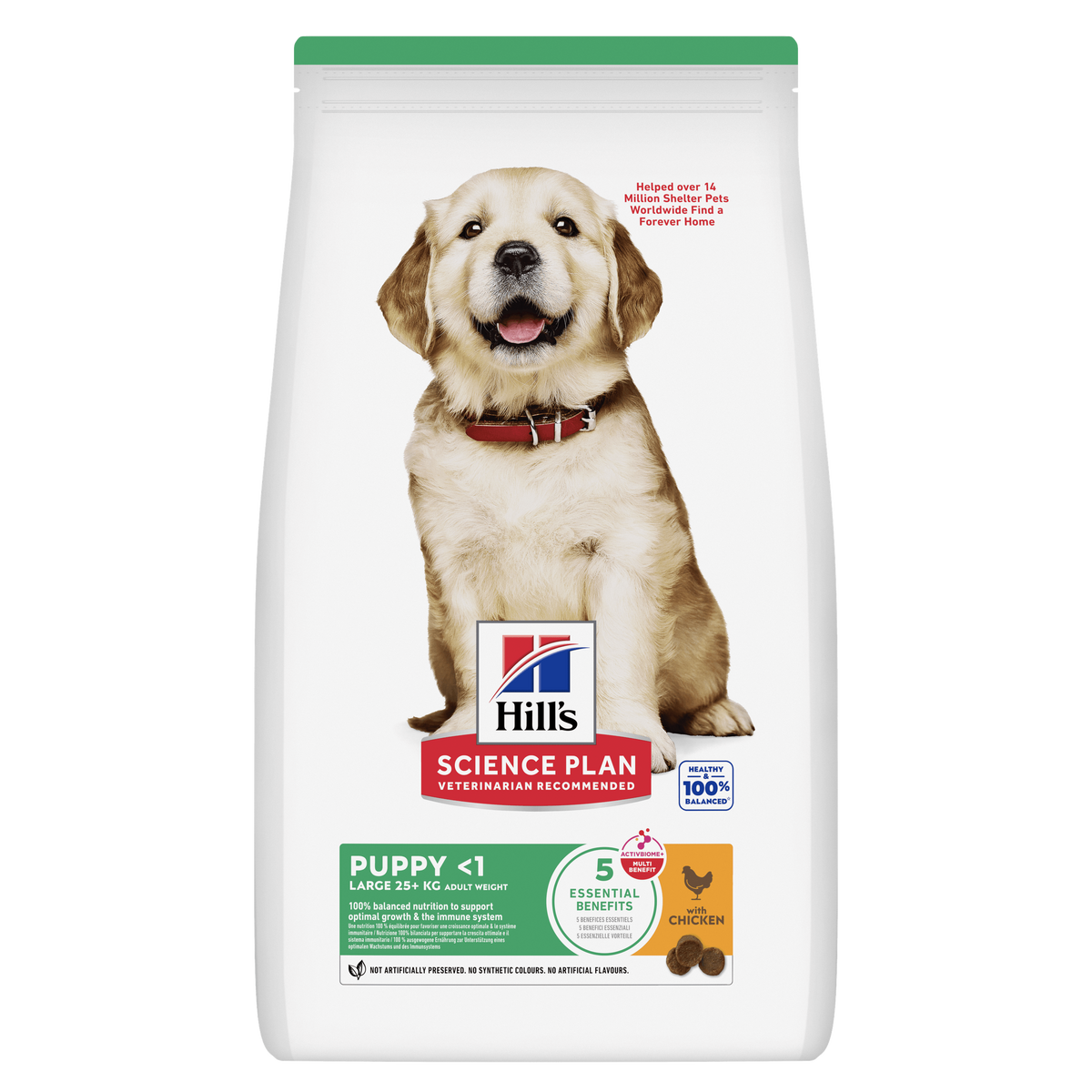 Hills Science Plan Canine Hund Puppy Large Breed Huhn Trockenfutter