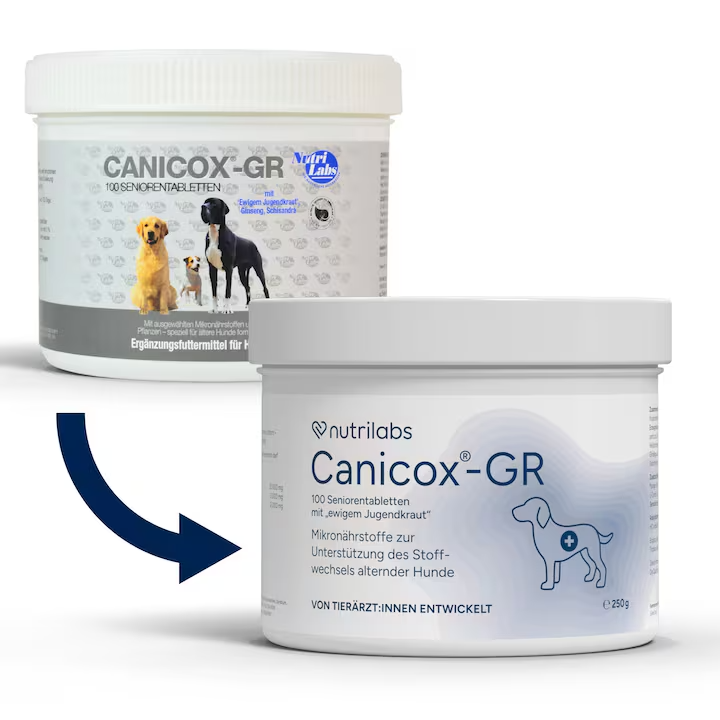 NutriLabs Canicox-GR Tabletten für ältere Hunde