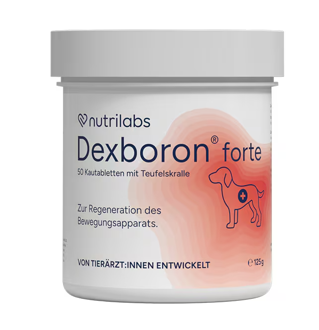 NutriLabs Dexboron forte Kautabletten für alte Hunde