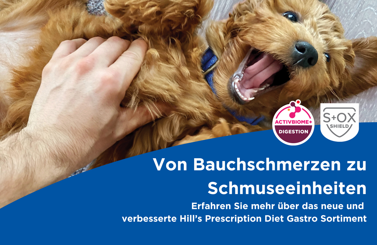 Hill's Prescription Diet Gastro: Magen-Darm-Gesundheit beginnt mit Wissenschaft!