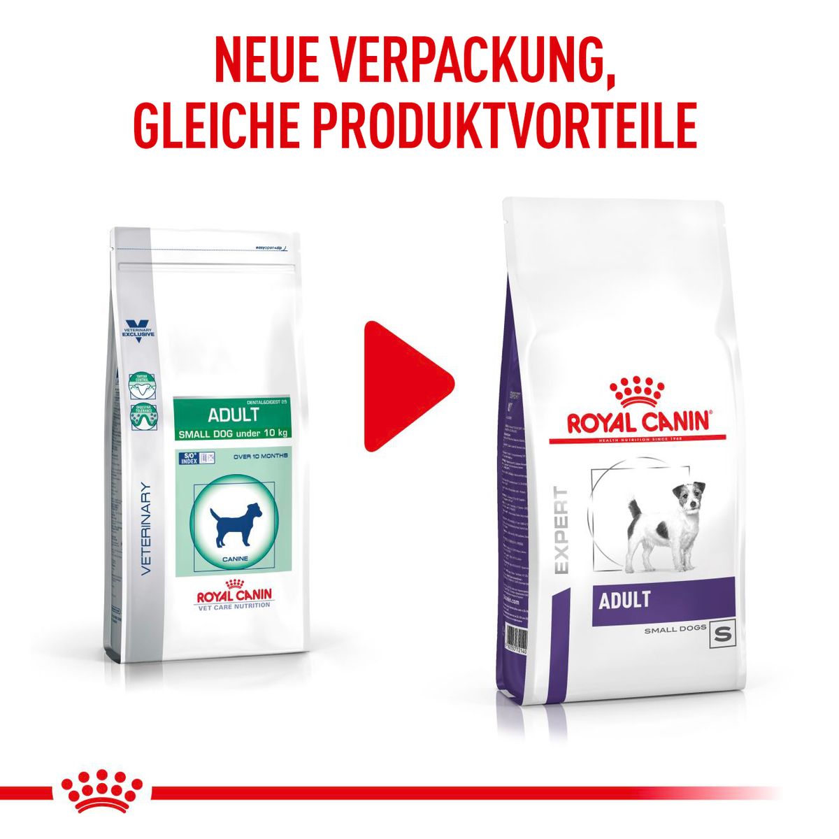 Royal canin adult small dog food 2025