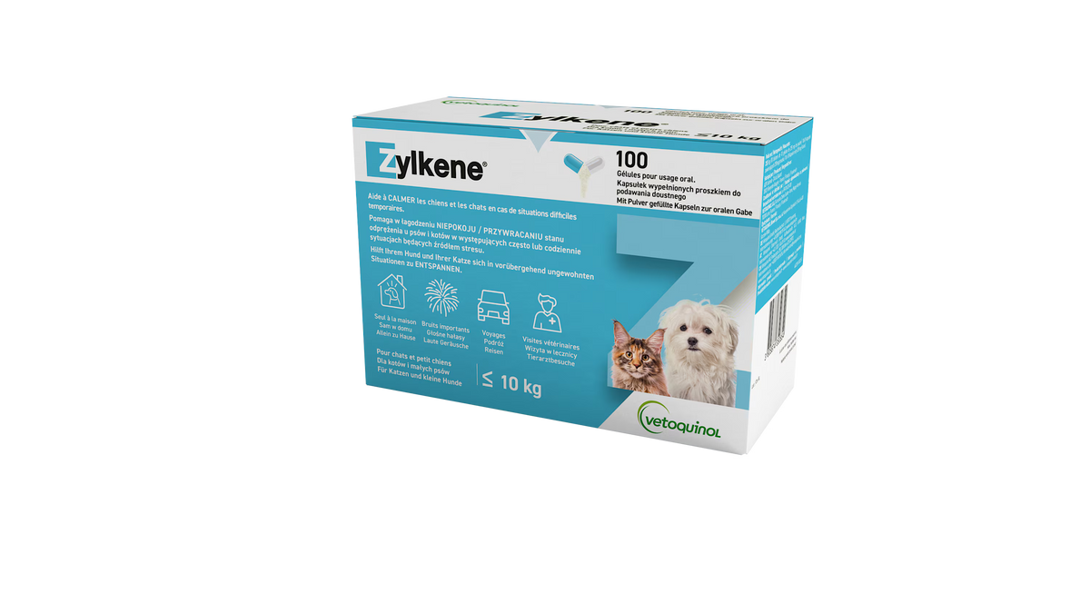 Zylkene für Hund und Katze gegen Stress und Angst