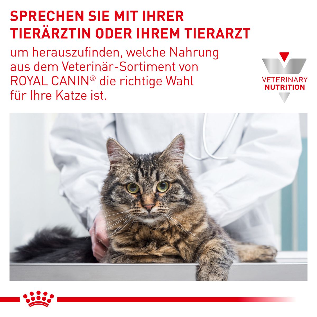 Royal Canin Gastrointestinal Frischebeutel fr Katzen | Tierarzt Dr. Hlter