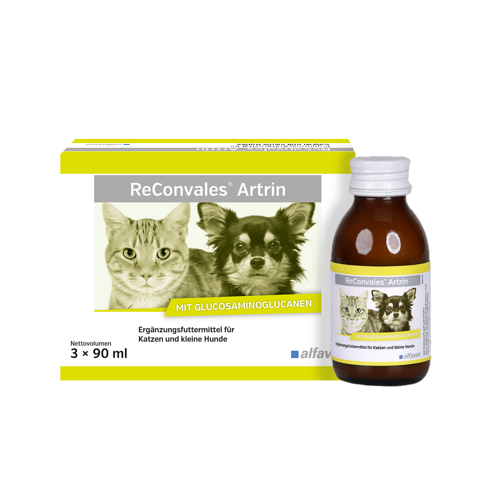 Alfavet ReConvales Artrin für Hunde und Katzen
