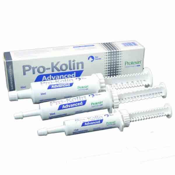 Dechra Pro-Kolin Advanced für Hunde zur Verdauungsregulierung Dechra Pro-Kolin Advanced für Hunde zur Verdauungsregulierung