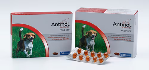 Selectavet Antinol Hund