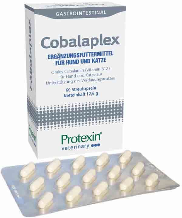 Dechra Cobalaplex Ergänzungsfuttermittel für Hunde und Katzen