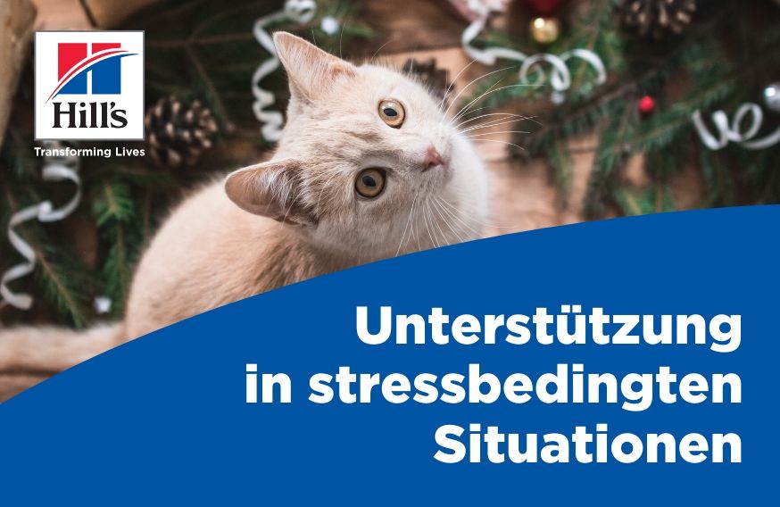 Stressfrei durch die Feiertage