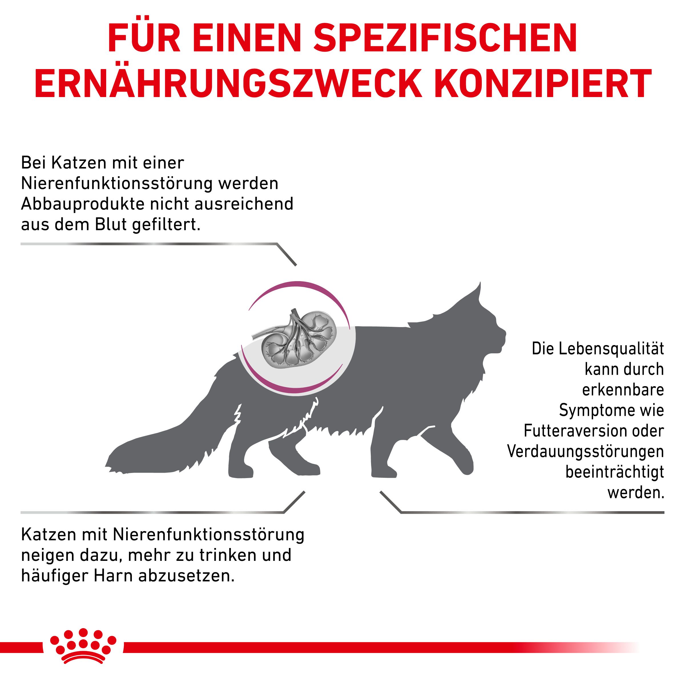 royal canin renal trockenfutter katze