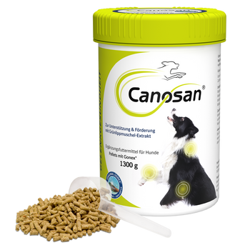 Canosan Hund mit Gonex von Boehringer Ingelheim