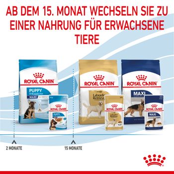 Royal Canin Maxi Puppy Frischebeutel in Soße
