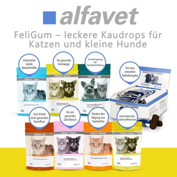 alfavet FeliGum Struvit