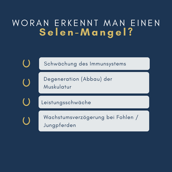 Navalis Orthosal Selen Horse für Pferde