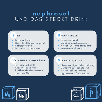 Navalis Nephrosal Dog für Hunde Navalis Nephrosal Dog für Hunde