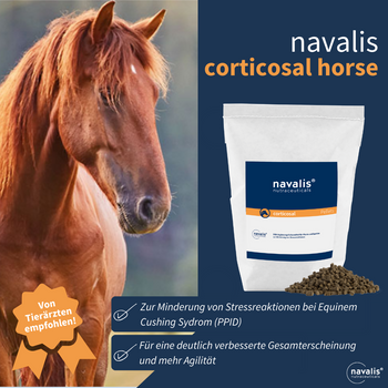 Navalis Corticosal Horse für Pferde Navalis Corticosal Horse für Pferde
