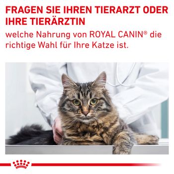 Royal Canin Gastrointestinal Fibre Response Katze