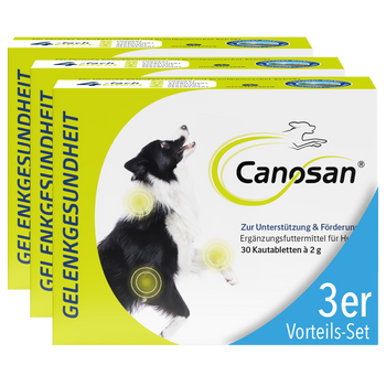 Canosan Hund mit Gonex von Boehringer Ingelheim