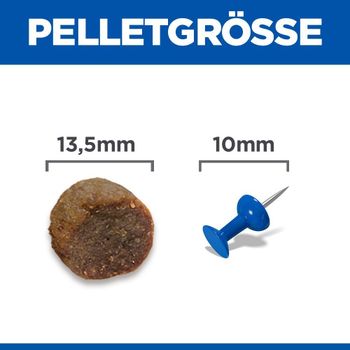 Hills Science Plan Canine Hund Puppy Large Breed Huhn Trockenfutter