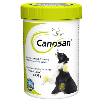 Canosan Hund mit Gonex von Boehringer Ingelheim
