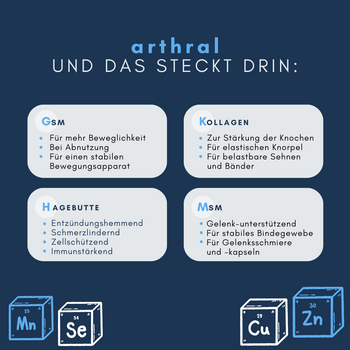 Navalis Arthral Horse für Pferde