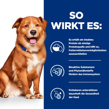 Hills Derm Complete Hundefutter in kleinen Dosen