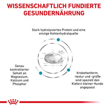 Royal Canin Hypoallergenic Small Dogs Trockenfutter für Hunde Royal Canin Hypoallergenic Small Dogs Trockenfutter für Hunde