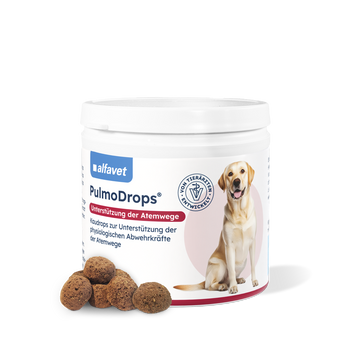 alfavet PulmoDrops Hund