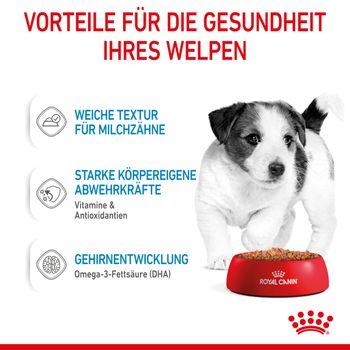Royal Canin Mini Puppy Frischebeutel in Soße Royal Canin Mini Puppy Frischebeutel in Soße