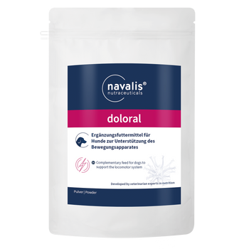 Navalis Doloral Dog