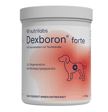 NutriLabs Dexboron forte Kautabletten für alte Hunde