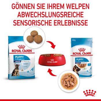 Royal Canin Maxi Puppy Frischebeutel in Soße