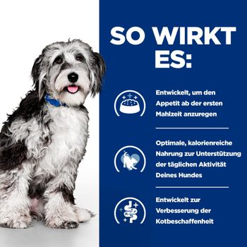 Hills ON-Care mit Huhn Trockenfutter für Hunde