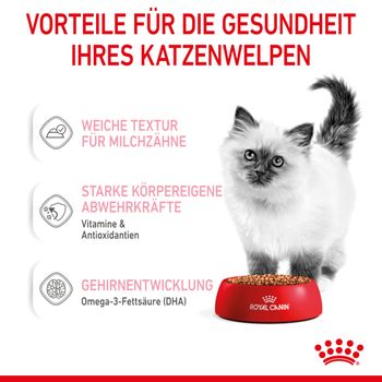 Royal Canin Kitten Frischebeutel in Soße