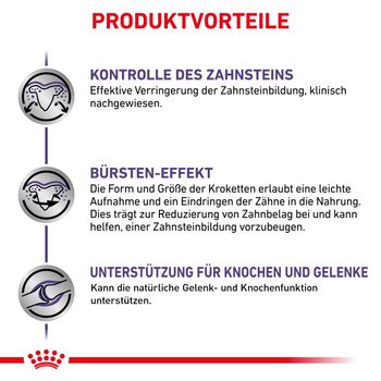 Royal Canin Dental Medium & Large Dogs Trockenfutter für Hunde