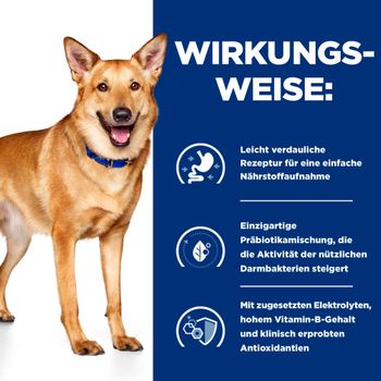 Hills i/d Trockenfutter für Hunde