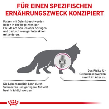 Royal Canin Mobility Trockenfutter für Katzen Royal Canin Mobility Trockenfutter für Katzen