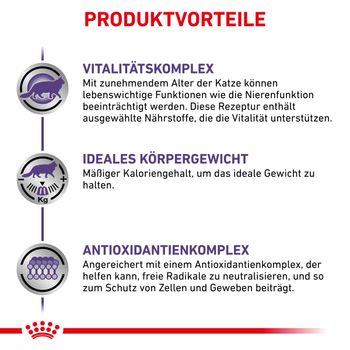 Royal Canin Mature Consult Balance Mousse Frischebeutel für Katzen