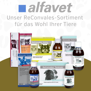 Alfavet ReConvales Gastro Balance Alfavet ReConvales Gastro Balance